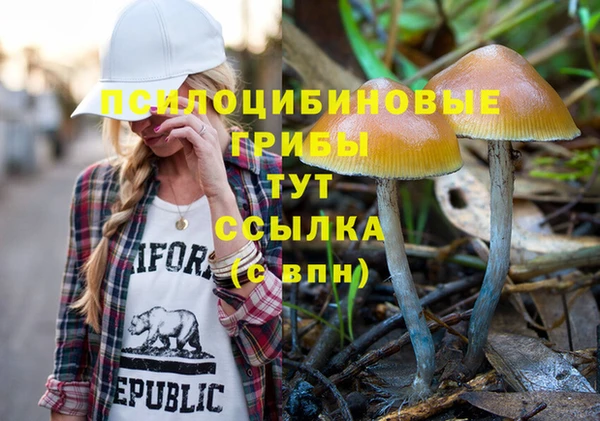 спиды Белоозёрский