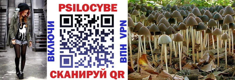 ссылка на мегу ССЫЛКА  shop Telegram  Галлюциногенные грибы ЛСД  Армавир 