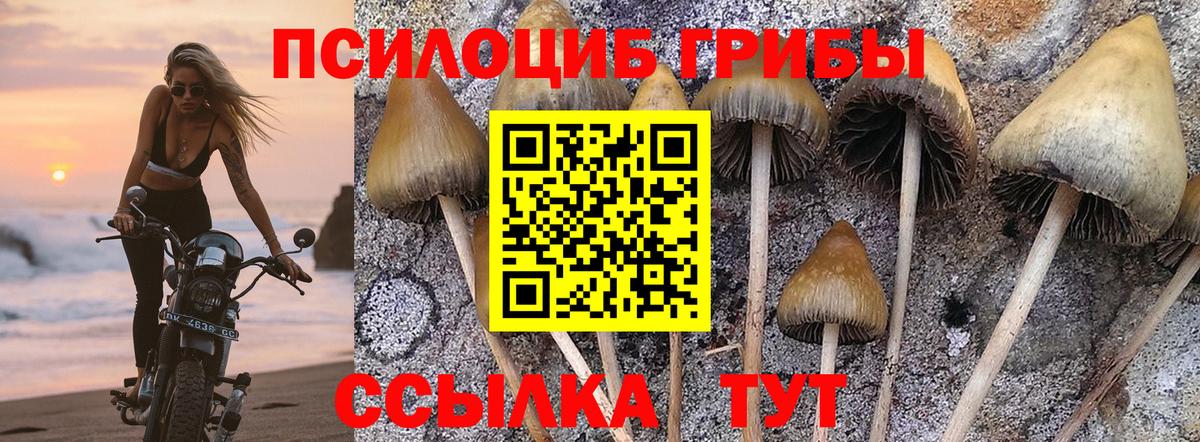 Галлюциногенные грибы мицелий  Вход с VPN  Армавир  Псилоцибиновые грибы MAGIC MUSHROOMS 