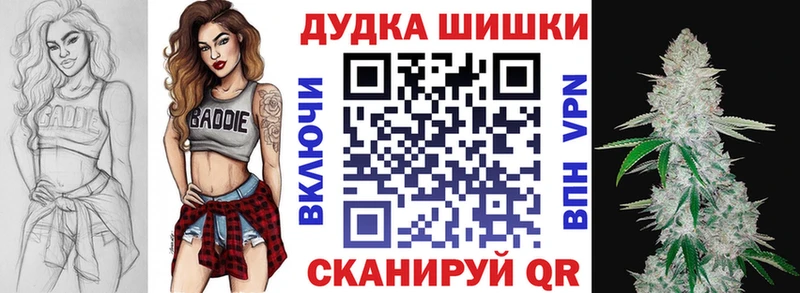 как найти закладки  Армавир  Каннабис индика 