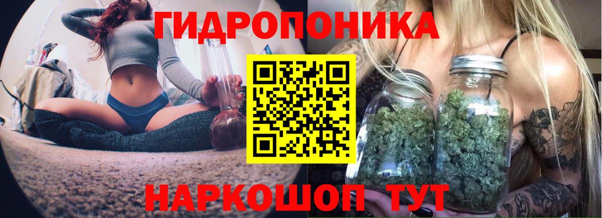 МАРИХУАНА конопля Армавир